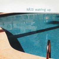 Waking Up (Remixes) (Single)