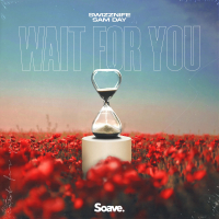 Wait For You (Single)