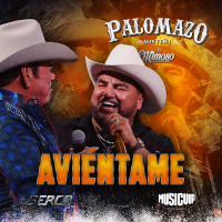 Avíentame (EN VIVO DESDE EL DOMO CARE) (Single)