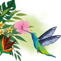 FunFun  Funny time Jamaica (Single)