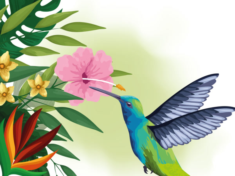 FunFun  Funny time Jamaica (Single)