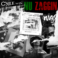 Nu Zaggin (Single)