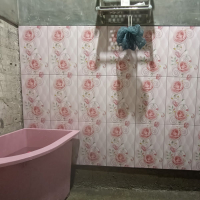 Qolbi fil madinah (Single)