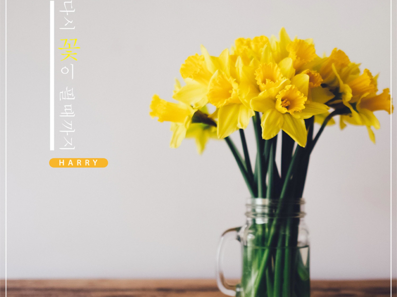 다시 꽃이 필 때까지