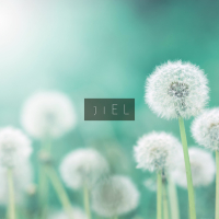 The Seed of Tears (Feat. Haesong) (Single)