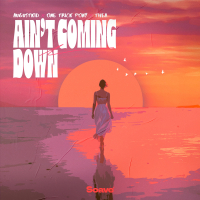 Ain’t Coming Down (Single)