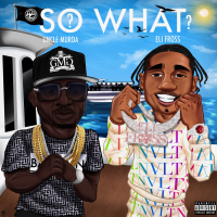 So What? (feat. Eli Fross) (Single)