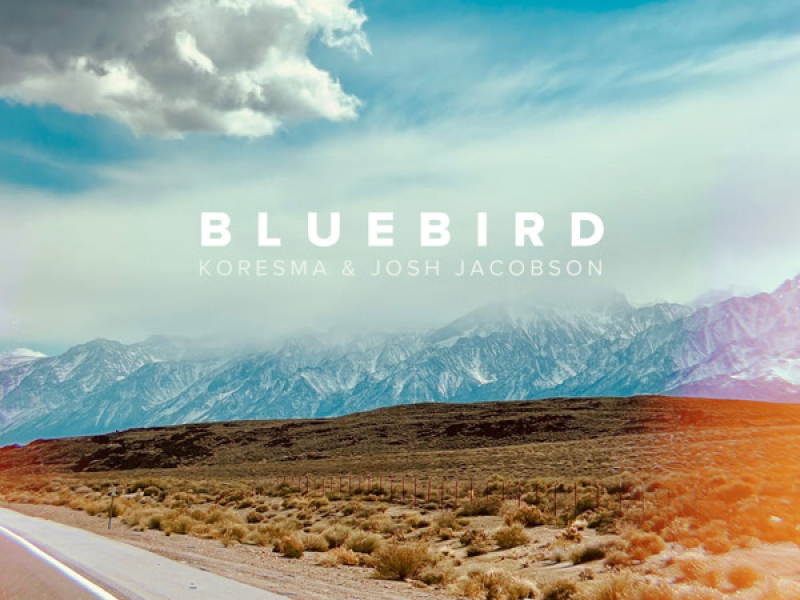 Bluebird (Single)