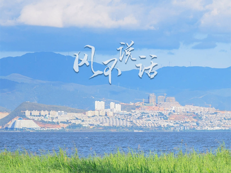 风不说话 (Single)