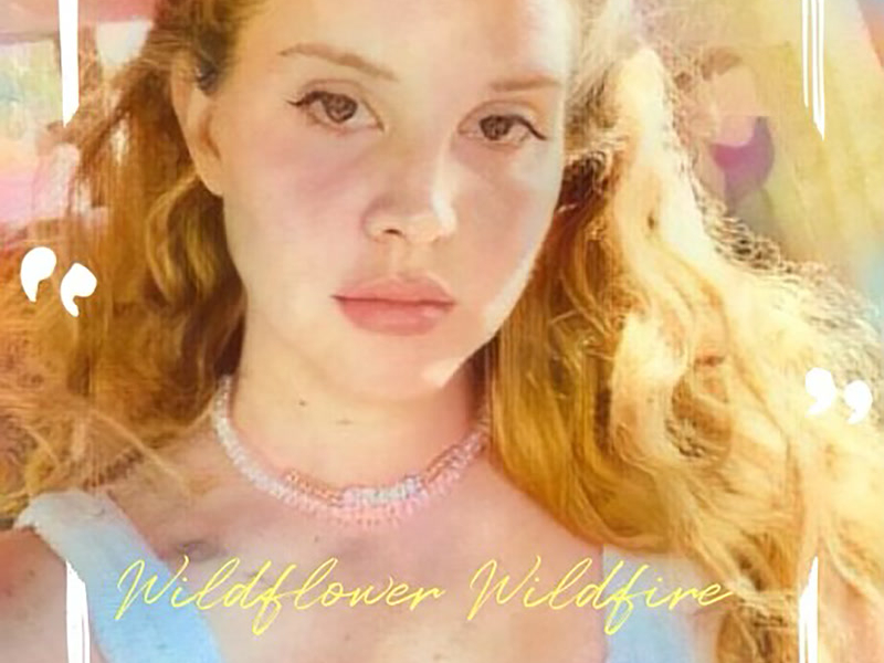 Wildflower Wildfire (Single)