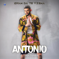 Idvam da te vzema (Single)