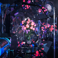 Real Love Only You (EP)