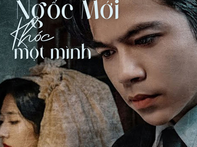 Ngốc Mới Khóc Một Mình (DJ Bibo Remix) (Single)