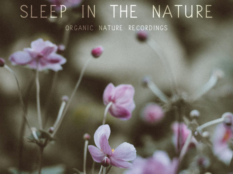 Sleep In the Nature (Single)