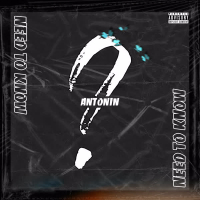 Need to Know (Single)