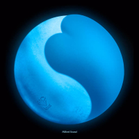 MILFORD SOUND (Single)