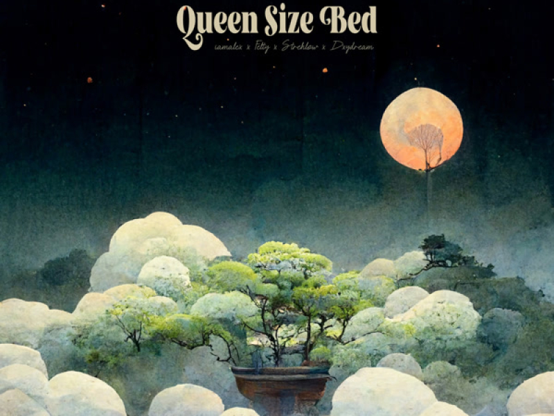 Queen SIze Bed (Single)
