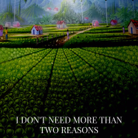 I Don't Need More Than Two Reasons