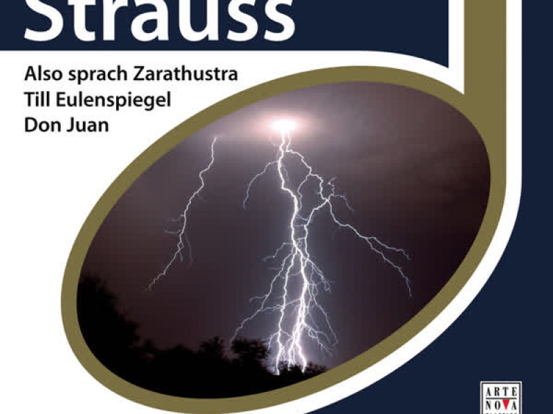 Strauss: Also sprach Zarathustra, Don Juan