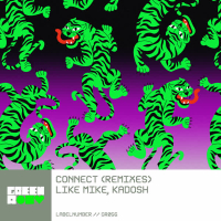 Connect (Remixes) (EP)