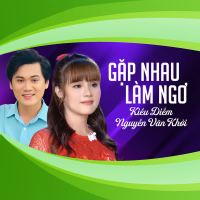 Gặp Nhau Làm Ngơ (Single)