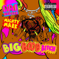 Big Boob Bitch (Single)