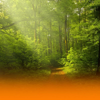 Nature Sounds And Soothing Ambient Music For Deep Relaxation And Inner Harmony (Single)