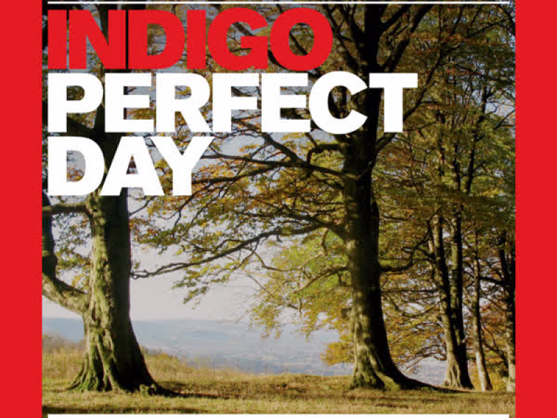 Almighty Presents: Perfect Day