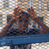 Pray for Me (Single)