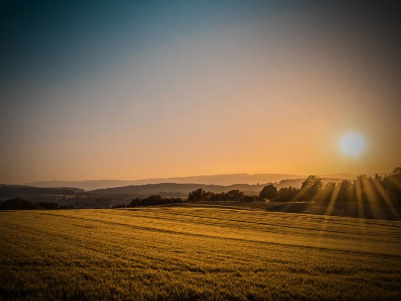 Instant Relaxation and Stress Relief with Peaceful Farm Sounds (Single)
