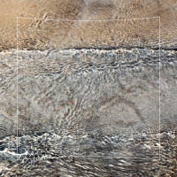 family tree (Single)