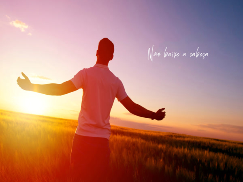 Não baixe a cabeça (Single)