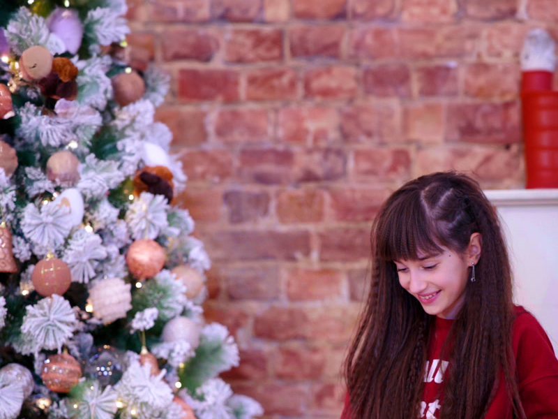 All I Want For Christmas Is You (Single)