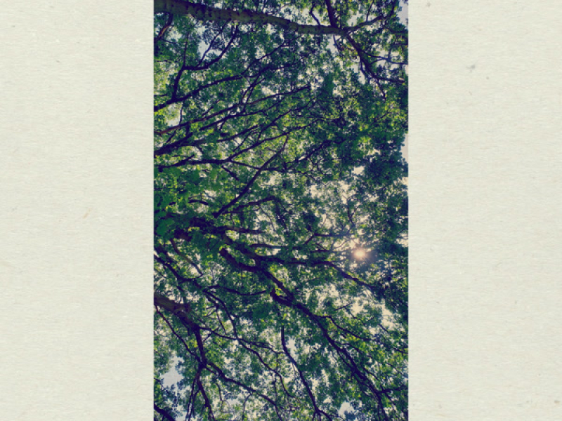 i had an existential crisis so i made some music