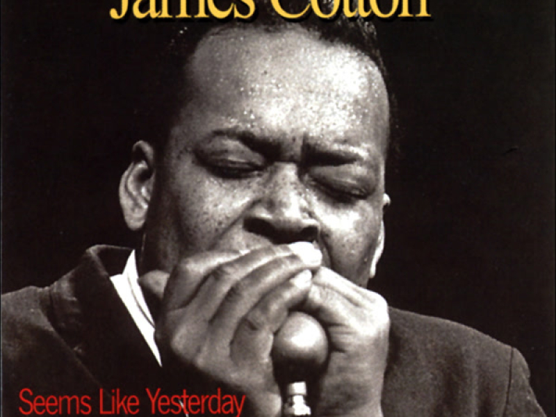 Seems Like Yesterday (Live)