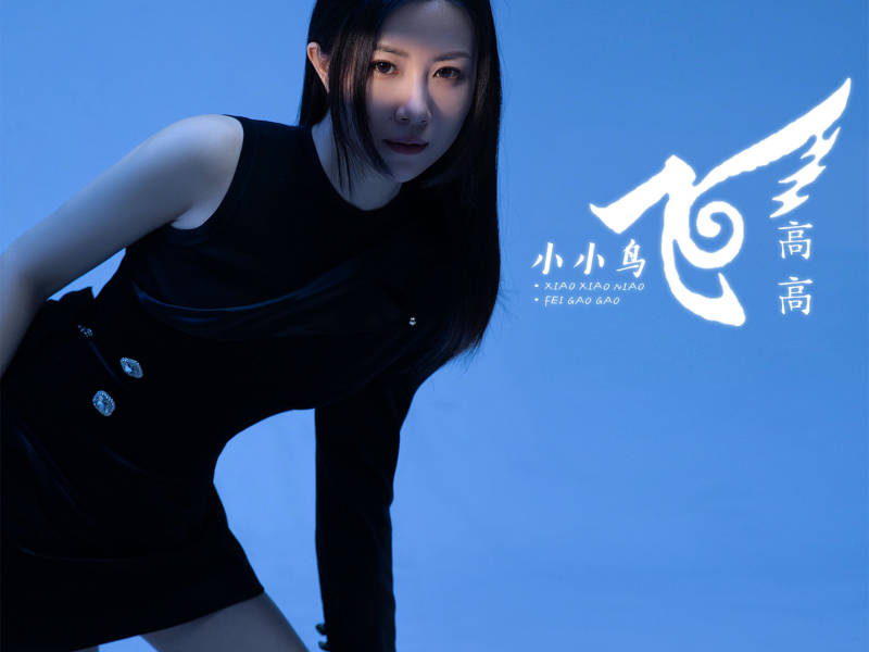 小小鸟飞高高 (Single)