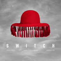 Switch (Single)