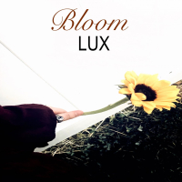 Bloom (Single)