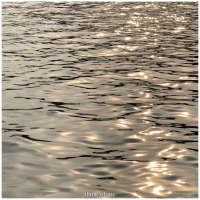 think of me (Single)