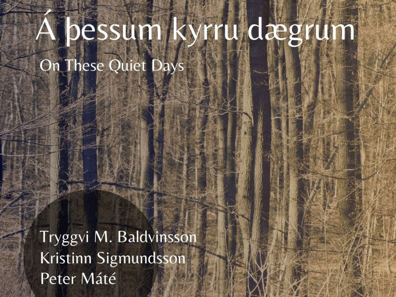 Á þessum kyrru dægrum