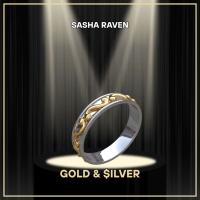 Gold & $ilver (Single)