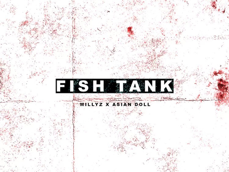 Fish Tank (Single)