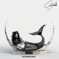 Nzuza (Single)