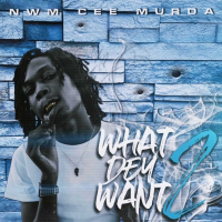 What Dey Want 2 (Single)