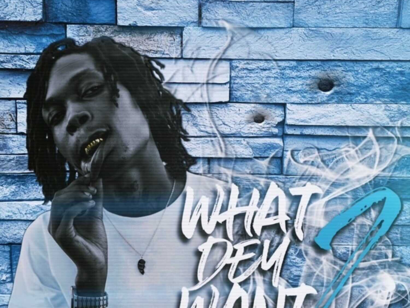 What Dey Want 2 (Single)