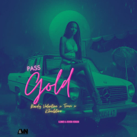 Pass Gold (Slowed & Reverb Version) (Single)