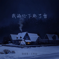 我的心下起了雪 (DJ德朋版) (Single)