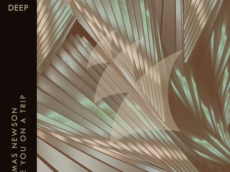 Take You On A Trip (Single)