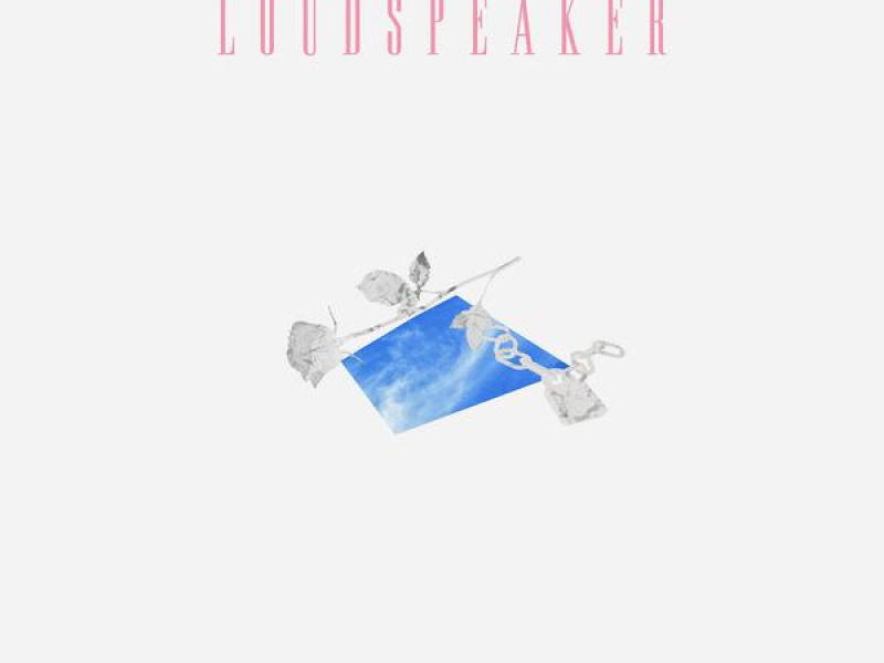 Loudspeaker