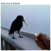 White Wine & Adderall (Single)